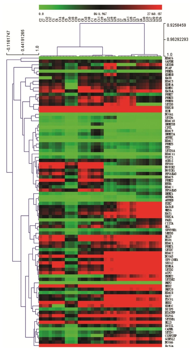 PCR Chips