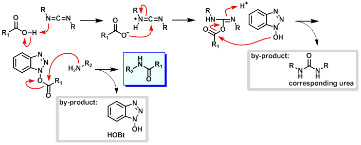Polypeptide Coupling