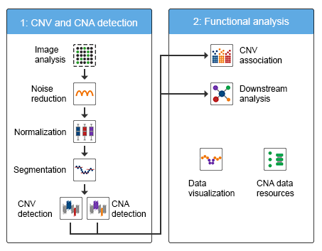 CNV Analysis