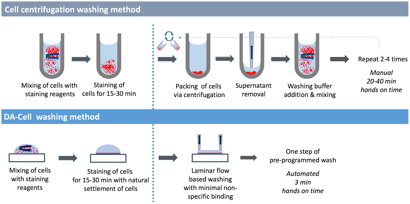 Flow cytometry cell isolation and culture