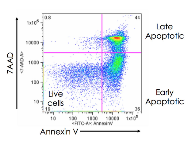 Flow cytometry-based Apoptosis Assay