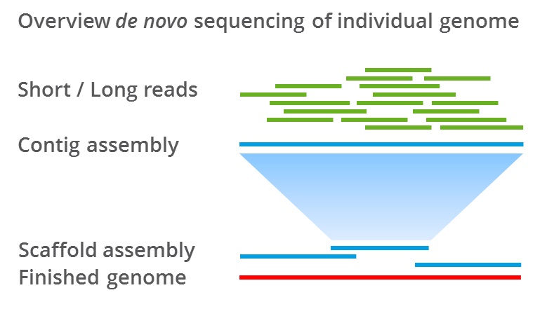 Plant and Animal Gene Sequencing Plant and Animal Gene Sequencing