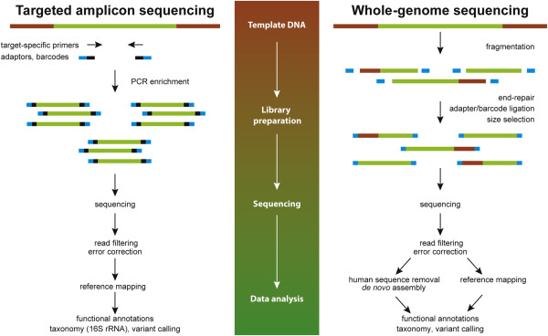 Targeted Gene Sequencing Targeted Gene Sequencing