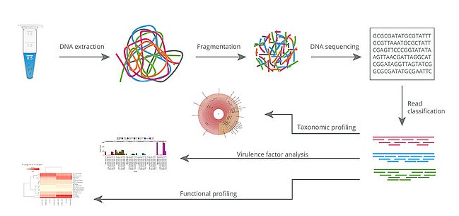 Metagenomic Sequencing