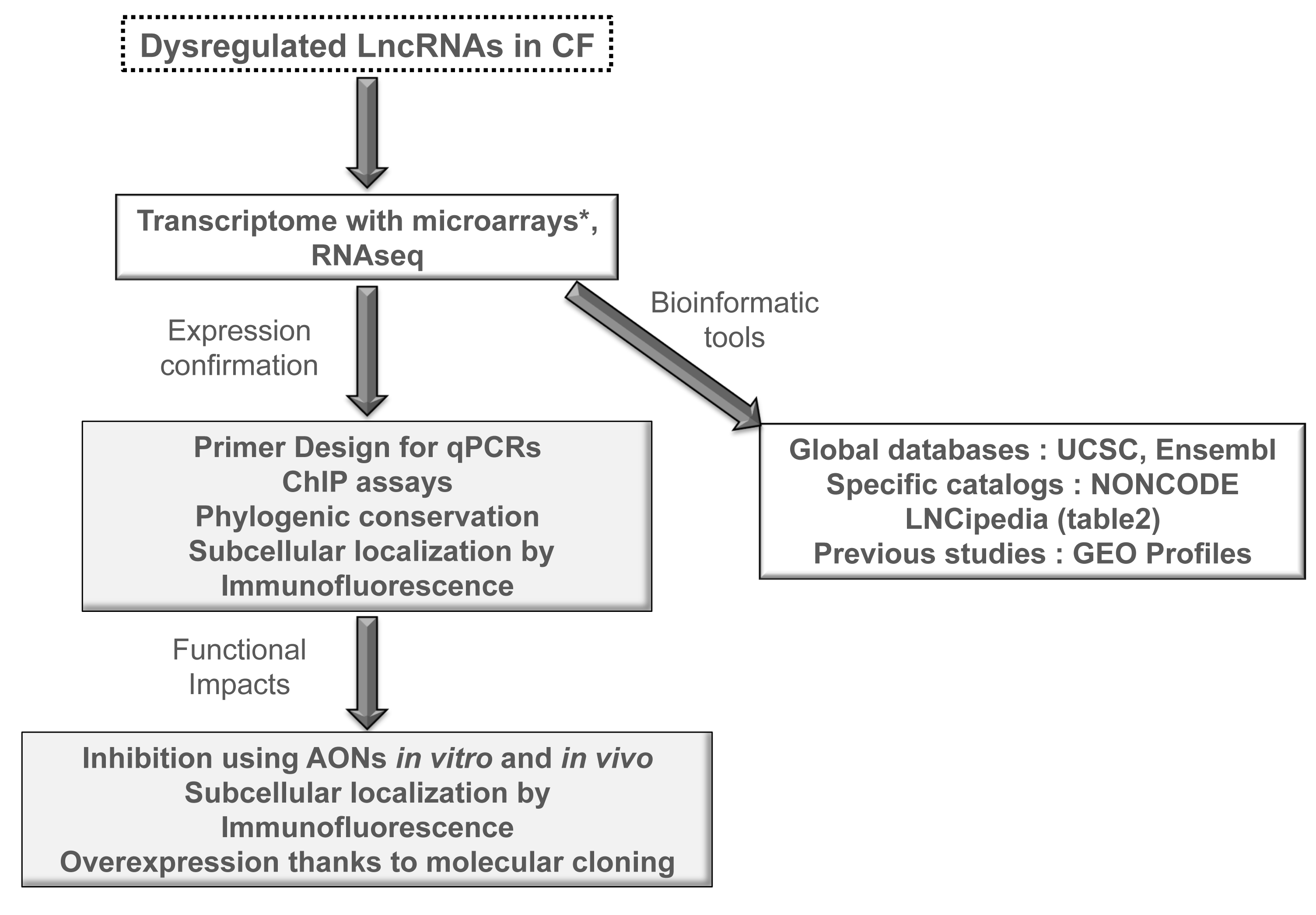 Non-Coding RNA Microarray